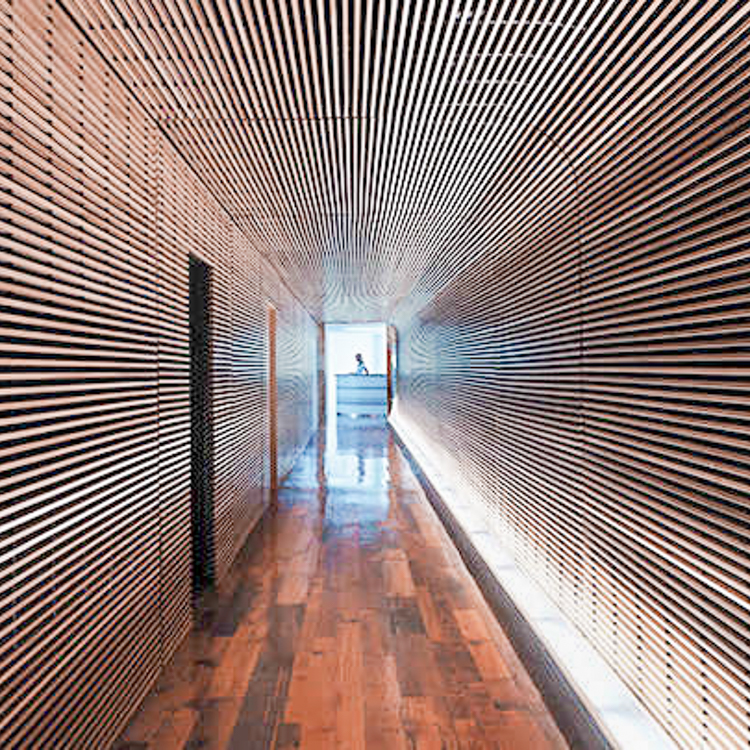 The Ultimate Miami Beauty Tour