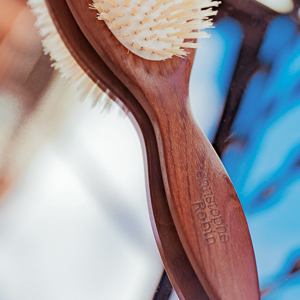 Our Favorite Products: October Edition