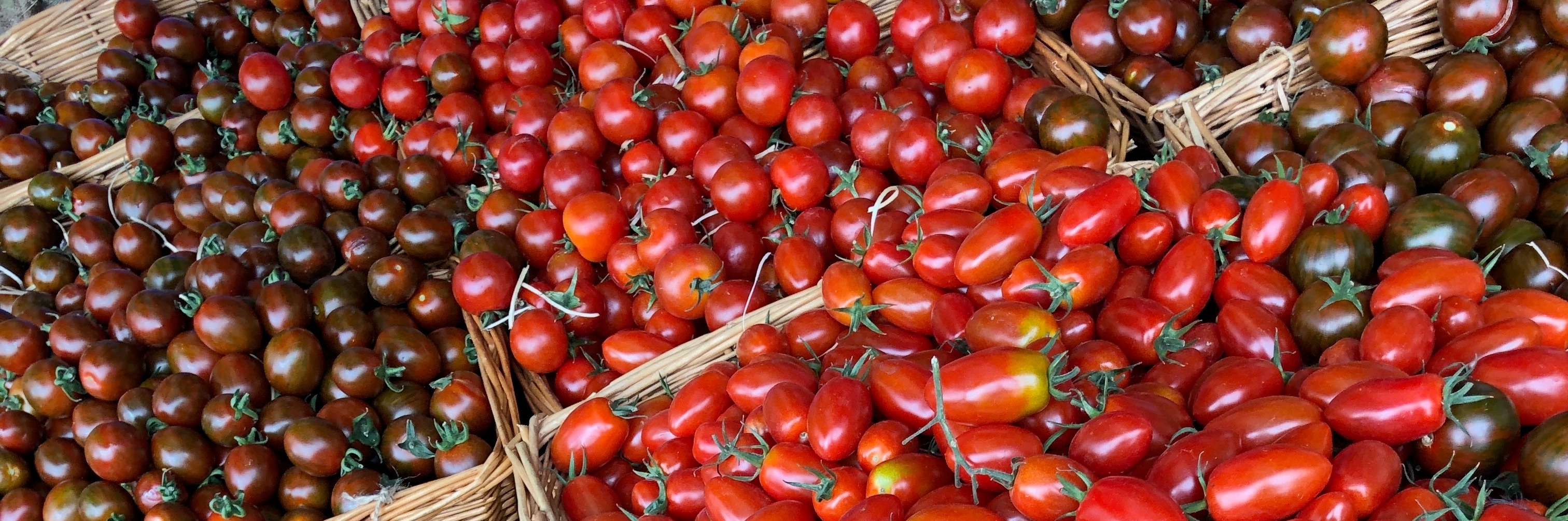 Tomatoes Are The Best Part Of Summer