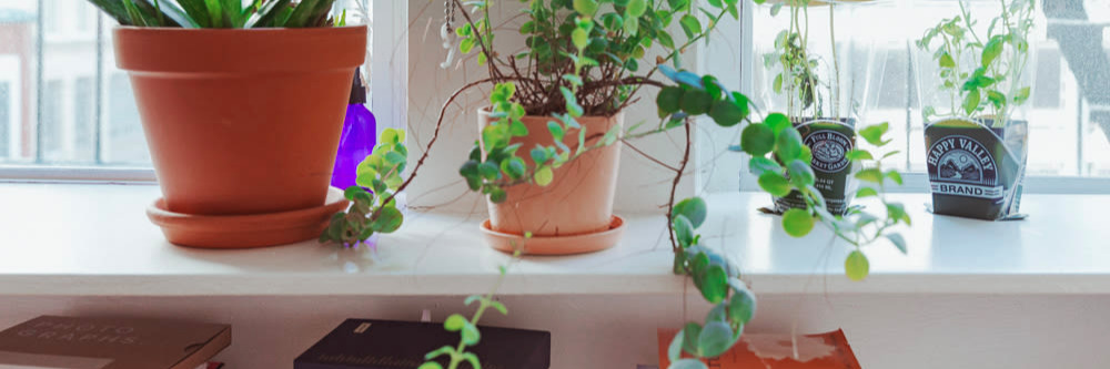 The Low-Waste Beauty Routine