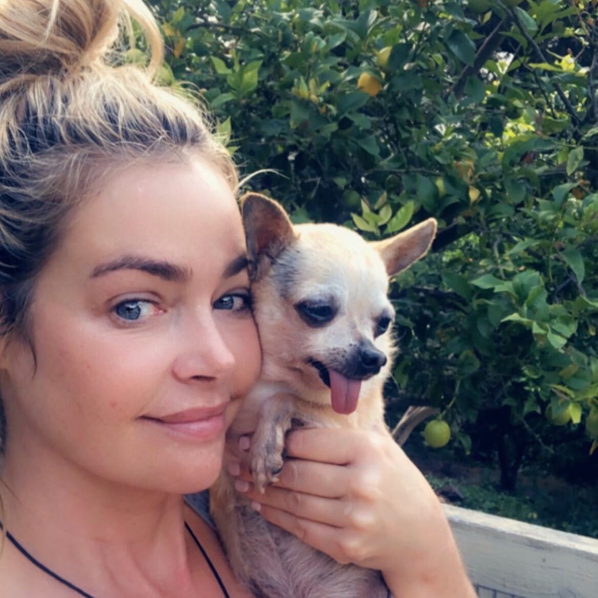 Denise Richards Wants To Raise Some Eyebrows