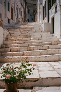 Tom's Greek Pharmacy Adventure