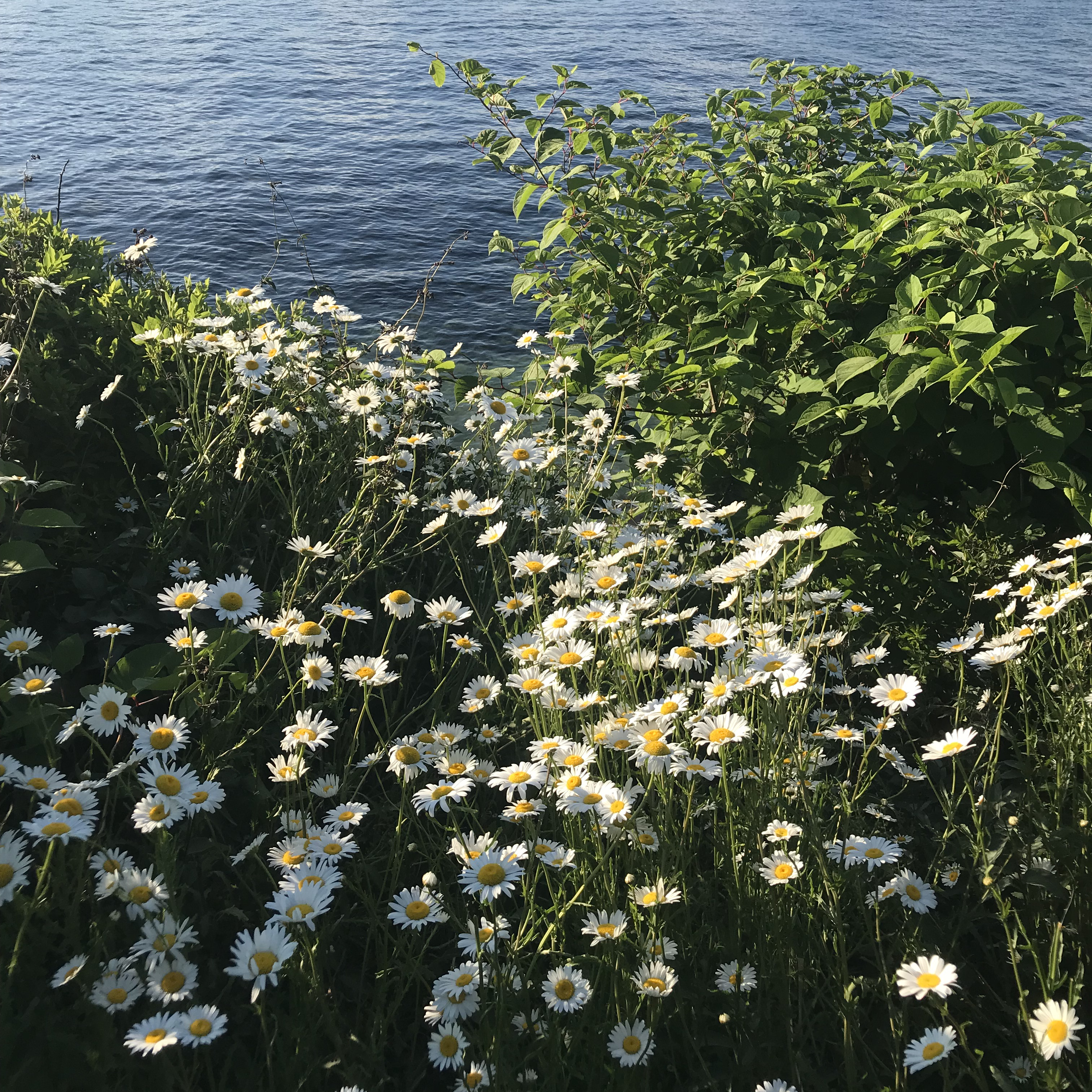 Or Gotham's Idyllic B&B Weekend In Maine