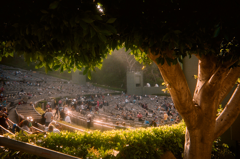 Why I Spent My Summer Following The Dead