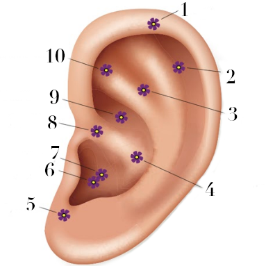 ear chart