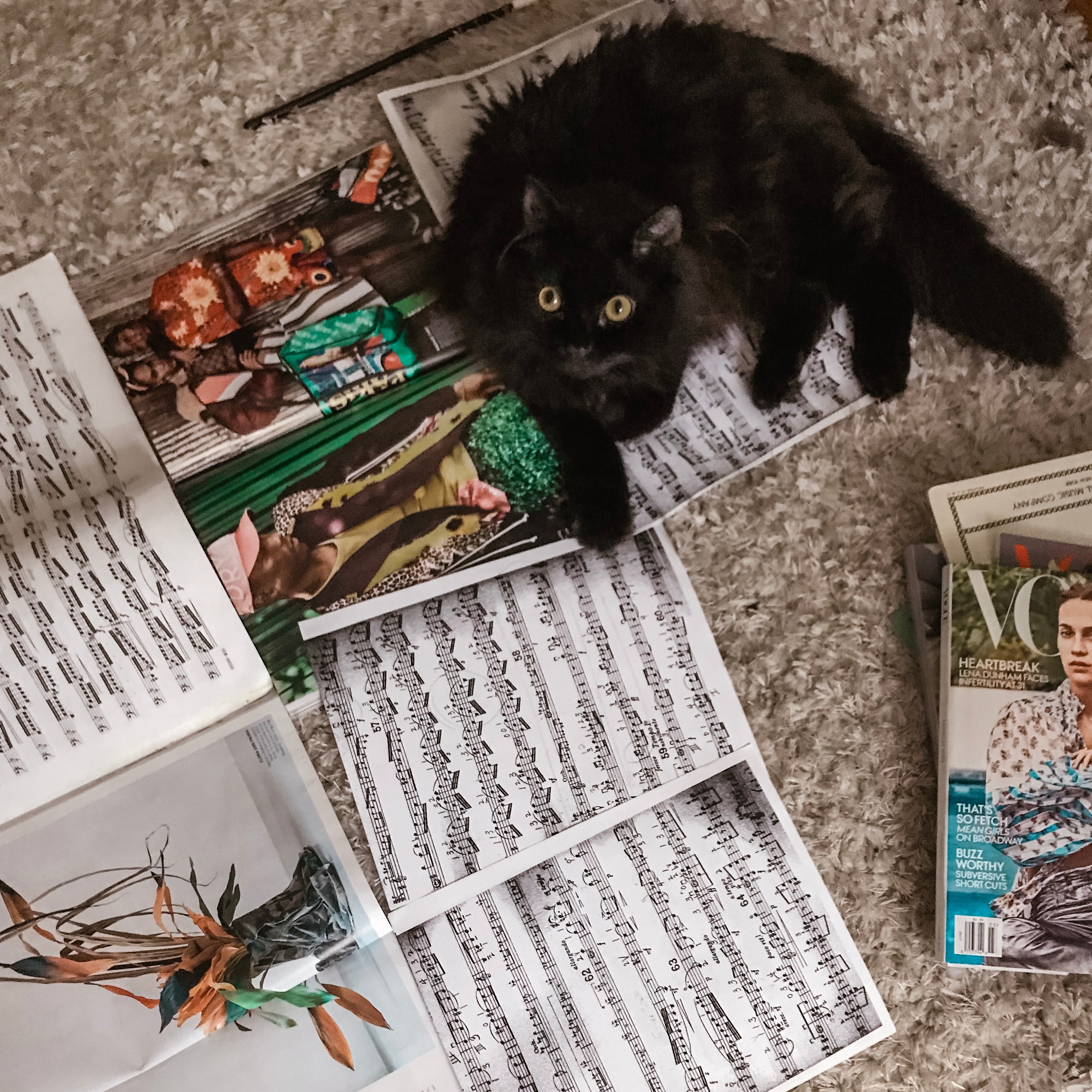 The Cellist Who Swears By Curology