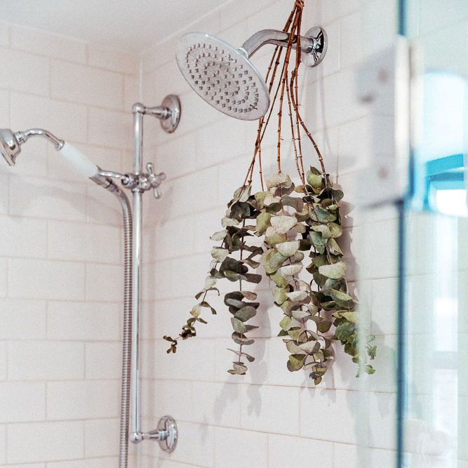 Are You Doing The Eucalyptus Shower The Right Way?