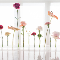 Glossier's T Shirt Giveaway