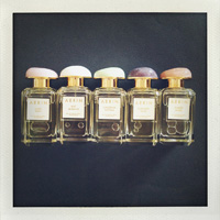 Aerin Fragrance Collection