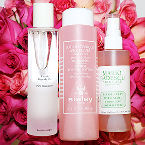 Rose Water, Rose Oil, and Everything (Rose) in Between