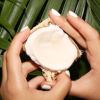 Coconut Oil: A Refresher Course