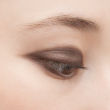 brown-eyeshadow-swatches-shades-urban-decay-busted