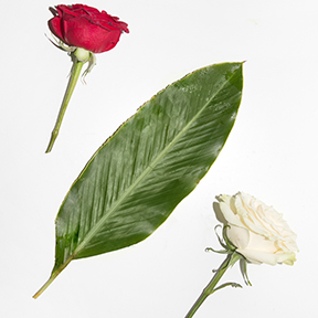 How To Make Deli Flowers Look Expensive