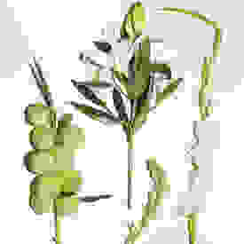 bodega-flower-arrangements-2