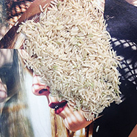 Frances Malcolm, Editor, The New Museum