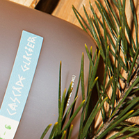 Body Wash For The Outdoorsy Set