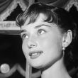 Westwood, Audrey Hepburn