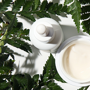 Ingredient To Know: Fern