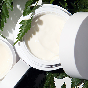 Ingredient To Know: Fern