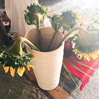 The Benefits Of Clay—And Of Being Covered In It