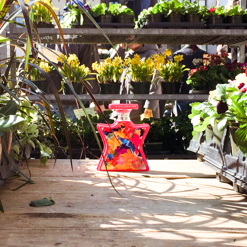 What Exactly Does New York Smell Like?