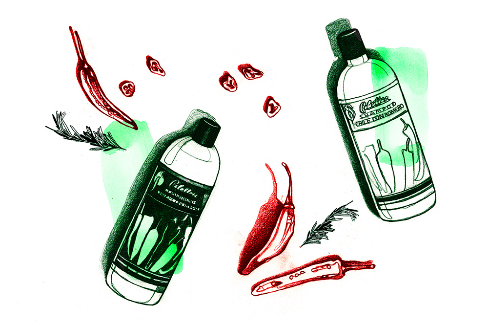 Cabellina Chile Con Romero Shampoo Into The Gloss Into The Gloss