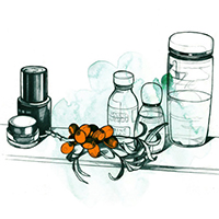 Ingredient To Know: Sea Buckthorn Oil