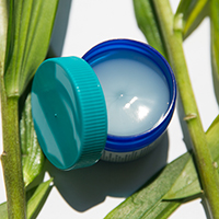 How To Avoid Bug Bites