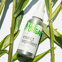 How To Avoid Bug Bites