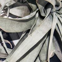 Aesop Resurrection Aromatique Hand Balm