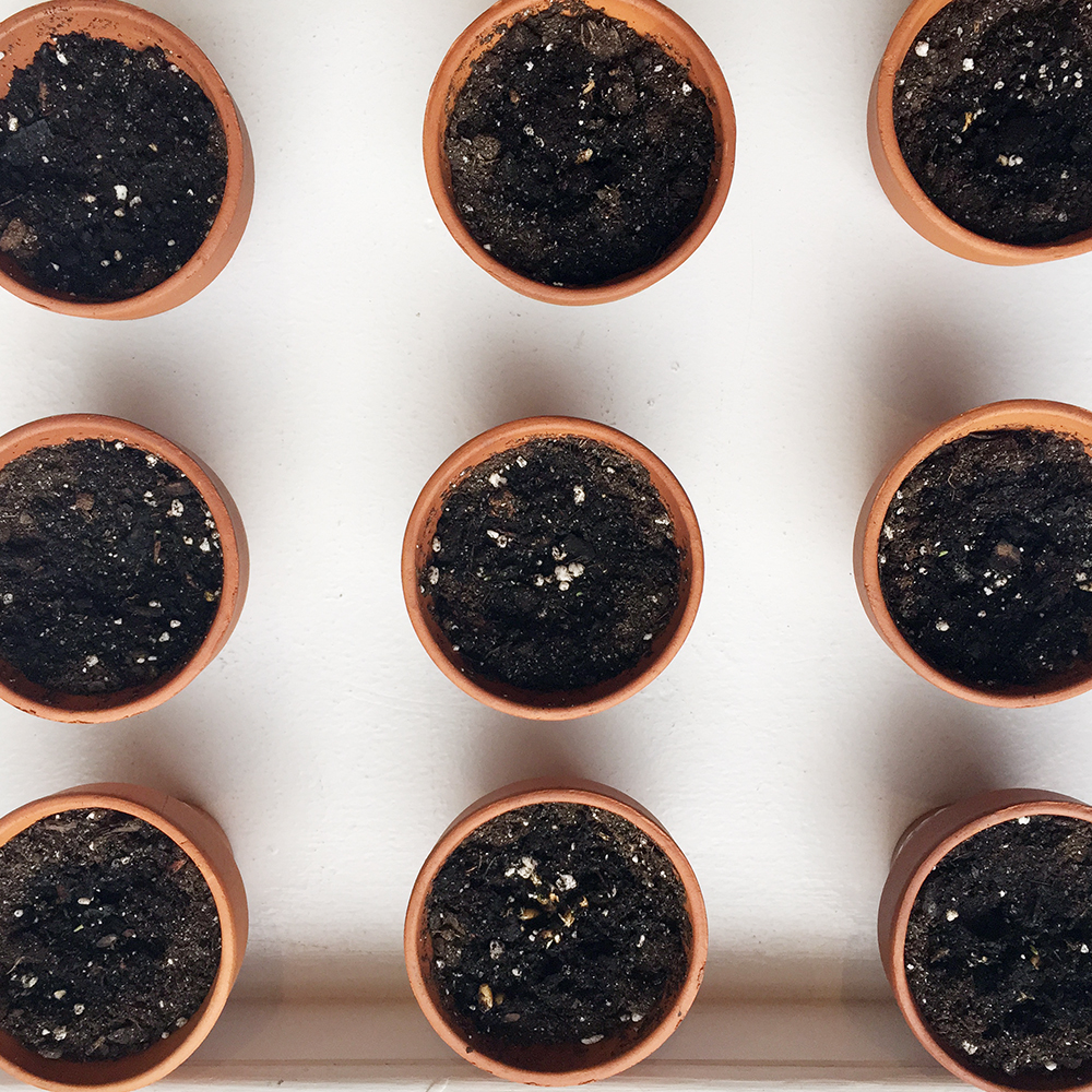 A Nonfactual, Very Unscientific Study Of Which Water Is Best