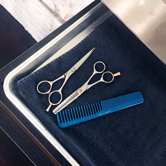 Oops, I Accidentally Cut Myself Bangs...