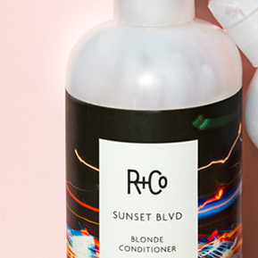 Things We Finish: R+Co Sunset Blvd Shampoo And Conditioner