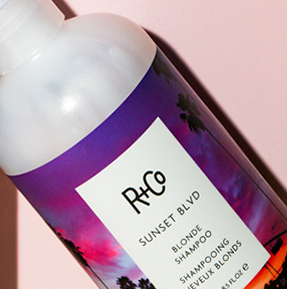 Things We Finish: R+Co Sunset Blvd Shampoo And Conditioner