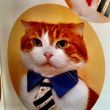 fashion cat tie