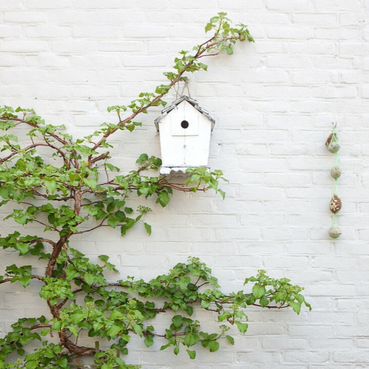The Ecologist With A Color Correcting Lip Stain