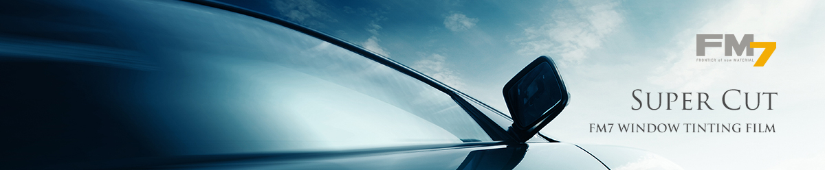 Side view of a sleek car with a tinted window and brand text on a blue sky background.