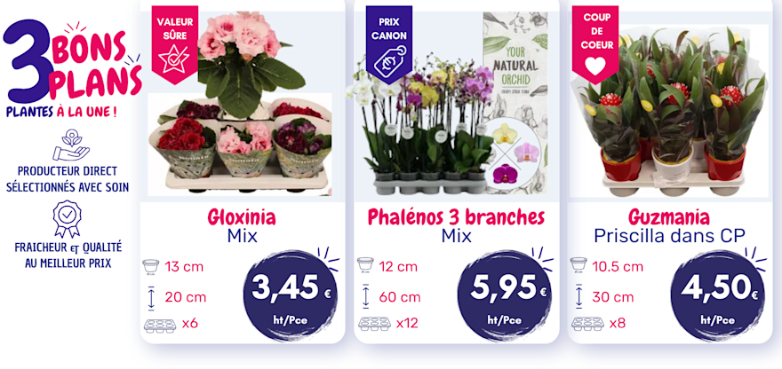 3 bons Plans Plantes à la Une