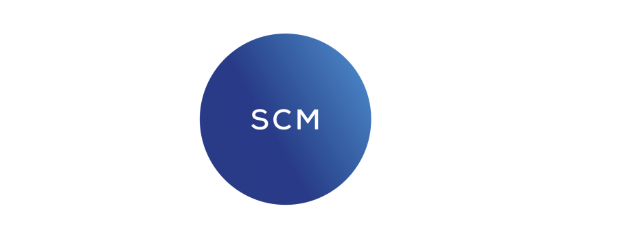 SCM diag LS