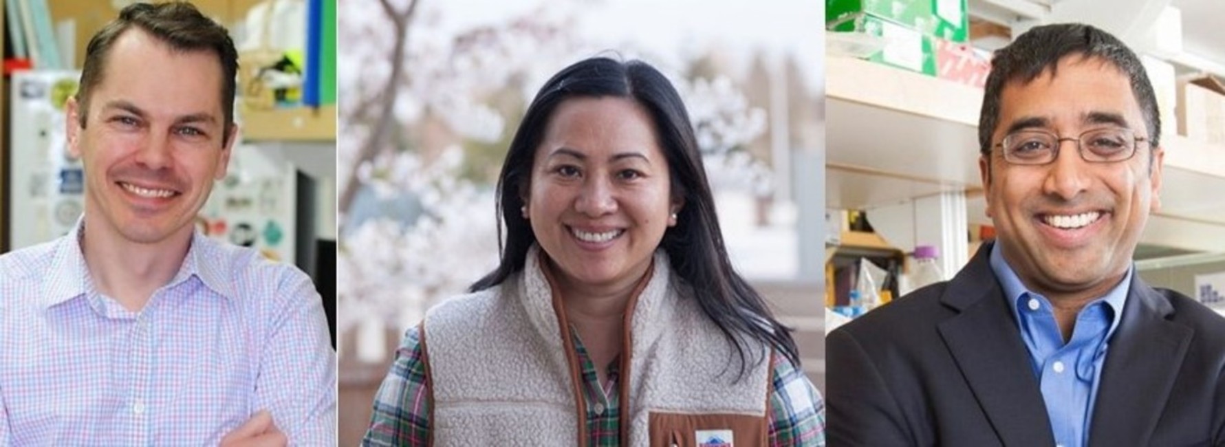 Highly cited researchers