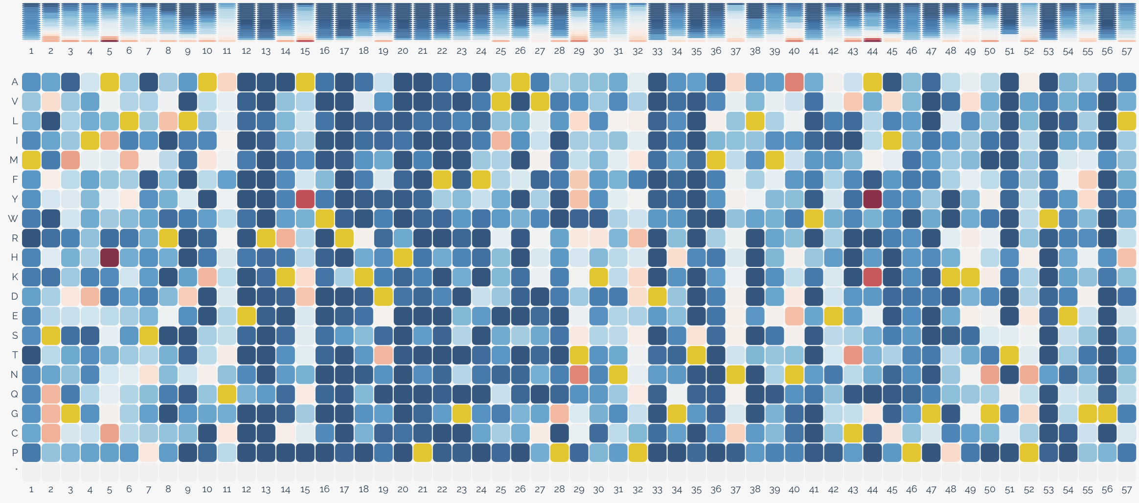 MAVE Single mutant heatmap