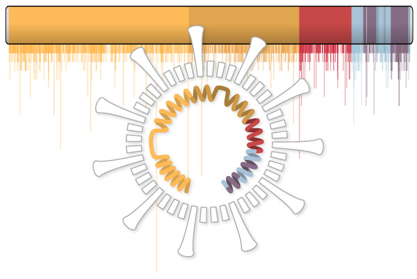 coronavirus-mutations-promo-1588180690446-threeByTwoSmallAt2X