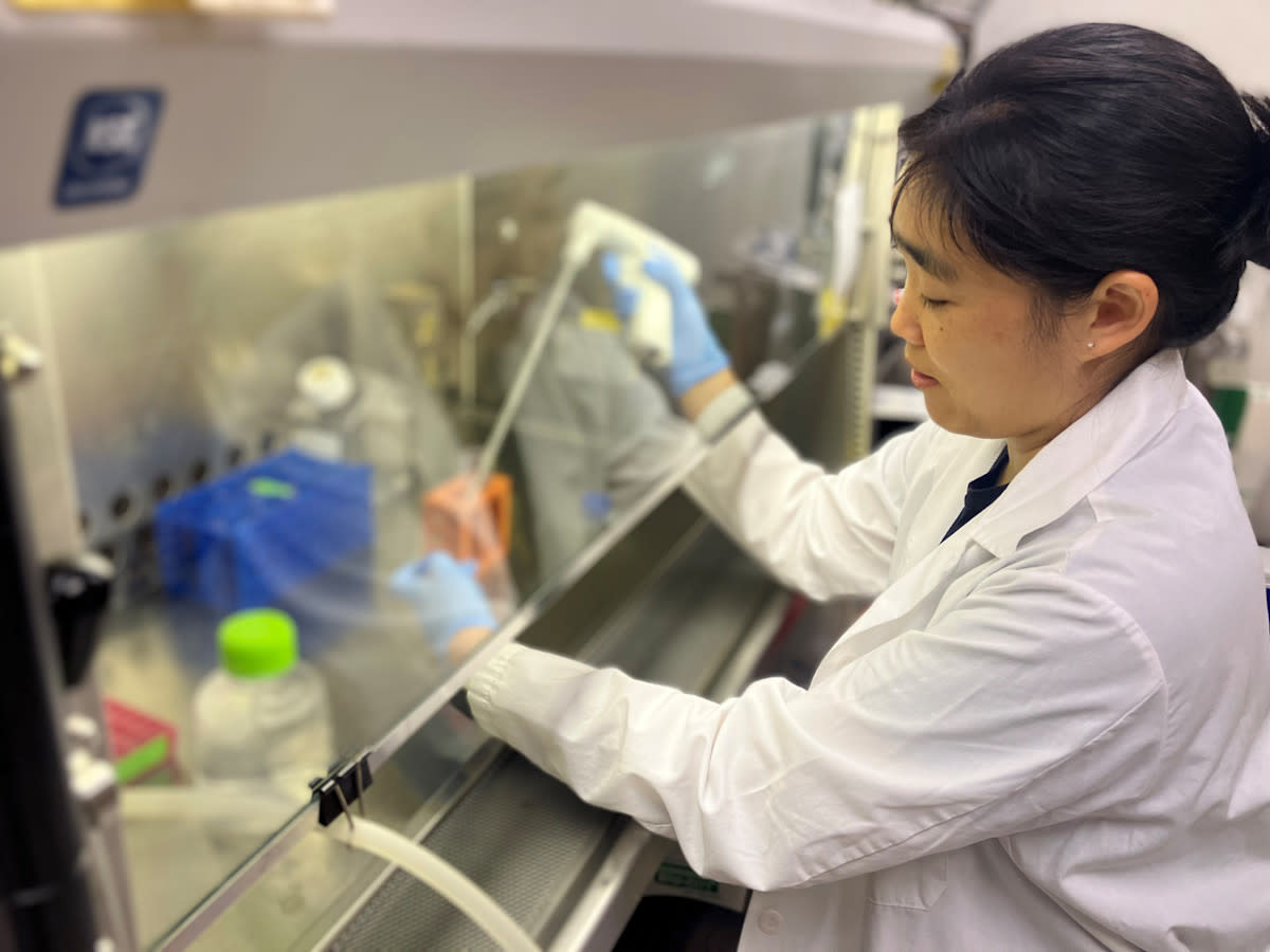 Annelise in lab