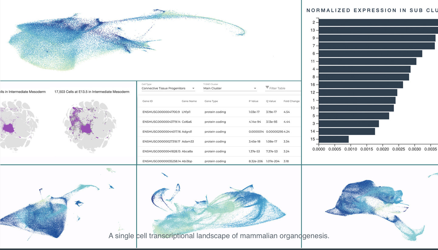 FH data visualization