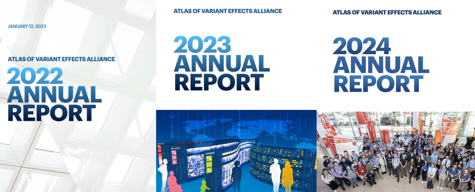 AVE Reports 2022-2024