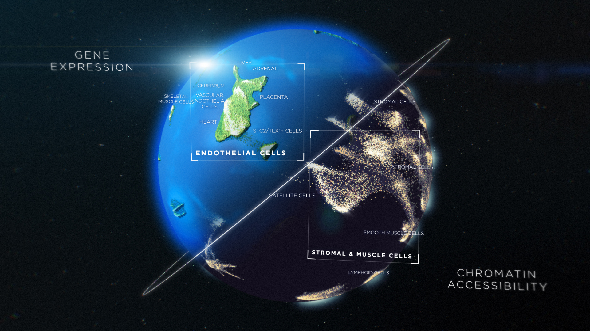 Human Cell Atlas Science 1