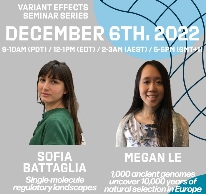 The next Variant Effects Seminar on Dec. 6 promises to be as interesting as it will be engaging. Sofia Battaglia, researcher at Harvard and the Broad Institute, will present on "Single-Molecule Regulatory Landscapes;" and Megan Le, researcher at UT Austin will discuss "10,000 Ancient Genomes Uncover 10,000 Years of Natural Selection in Europe." Learn more: https://www.varianteffect.org/seminar-series