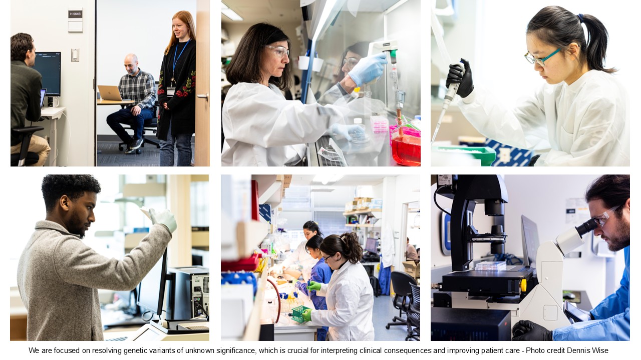 VEP Lab Photos