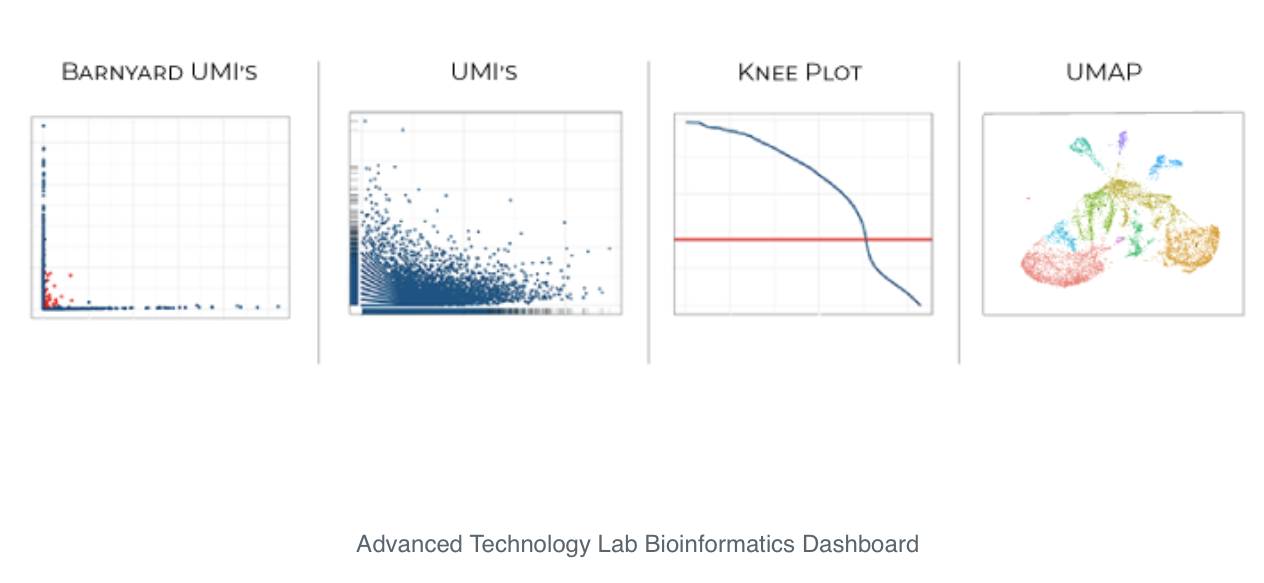 bioinformatics dashboard