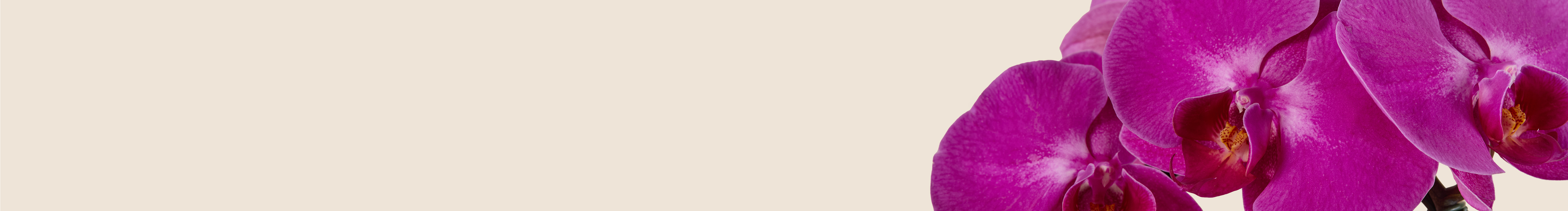 category-banner-img